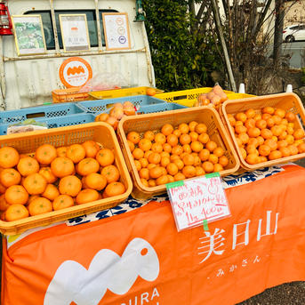 完熟早生みかん宮川SML混合9kg (箱含10kg) | 果物/温州みかん 産直