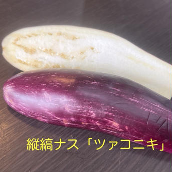 3種のナスとおまかせ夏野菜セット【お試し価格】 約4kg 野菜/野菜セット・詰め合わせ通販
