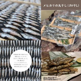 綱元漁師★天日干し干物ギフト箱セット カマス1Pイワシ開き1P目光1P鯵2Pノドグロ2P味醂干し2P 魚介類/魚介の加工品通販