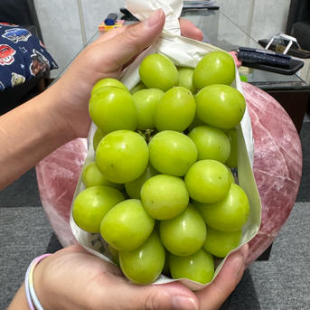 フルーツ王国山梨より朝採り農家直送シャインマスカット 1キロ | 果物