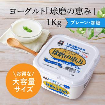 球磨の恵みヨーグルト（加糖）3Kg ｜ 乳製品/その他乳製品 産直アウル
