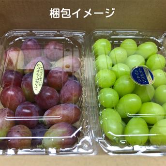 食品 長野パープル ぶどう クール便 2キロ