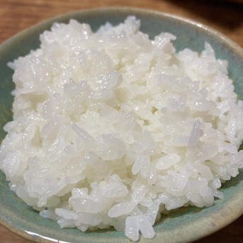 愛媛県西条産 にこまる 白米 9キロ ｜ 米・穀物/米/精米 産直アウル