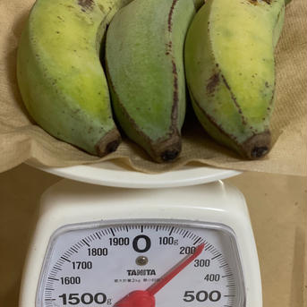 沖縄産カニステル、🍌ナムワバナナ🍌セット 合計約500㌘ 果物/果物セット・詰め合わせ通販