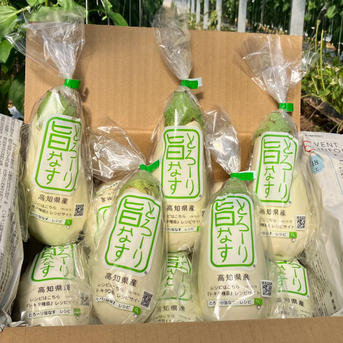 白ナス19kg 白ナス B品『とろ〜り旨なす』 ｜ 野菜/茄子 産直アウル 農家・漁師