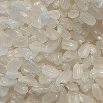 祝２周年記念限定6262円　新米　特別栽培米　つや姫　10kg  10kg 米・穀物/無洗米通販