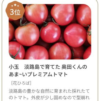 お試しミディサイズ5袋 淡路島で育てた 奥田くんのあま～いプレミアムトマト とまとTOMATO5袋(1.5kg前後) 5袋(1.5kg前後) 野菜/トマト通販