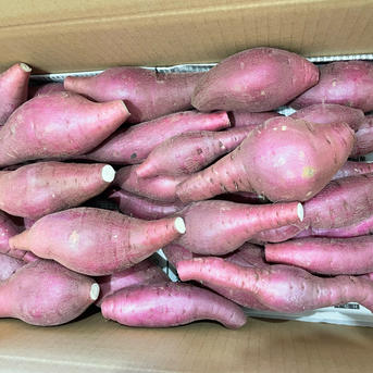 紅はるか 9.0kg (訳あり) ｜ 野菜/さつまいも 産直アウル 農家・漁師