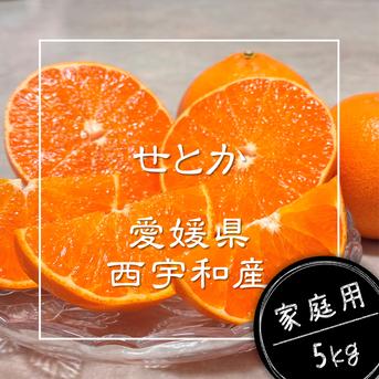 専用ページ　みかん☆様　ありがとうございます！ 広がる香りに、ただ酔いしれる】完熟ハウスせとか《ご家庭用 5kg