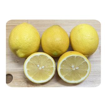 🍋木下さんちのレモン🍋『良品2.5キロ』 良品2.5キロ(大中混み) 果物/香酸柑橘(ライム・レモン等)通販