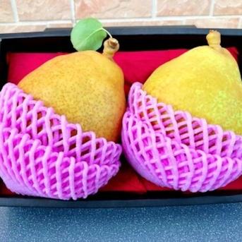 数量限定】ゼネラルレクラーク｜フランス生まれの高級洋梨 特大2玉