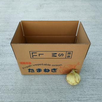 淡路島産 たまねぎ 人気のボリューム 5kg  玉葱タマネギオニオン 5kg 野菜/玉ねぎ通販