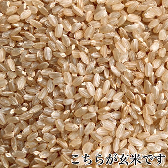 秋田県産あきたこまち 特別栽培米 ｜ 米・穀物/米/精米 産直アウル