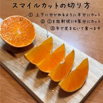 広がる香りに、ただ酔いしれる】完熟ハウスせとか《ご家庭用 5kg