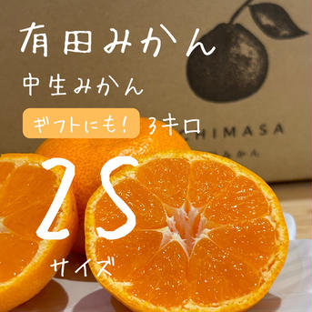 【完熟中生みかん】有田みかん★ギフトにも！ 3キロ2Sサイズ 果物/温州みかん通販
