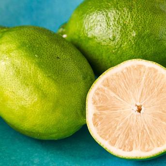 箱込約13㌔ 種なしレモン 種がなく、果汁が多く薄皮で人気のレモン