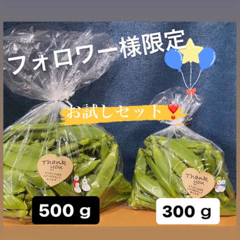 【フォロワー様限定】やみつき😋スナップエンドウ❣️ 1kg未満　300ｇ一袋　500ｇ一袋 野菜/豆類通販