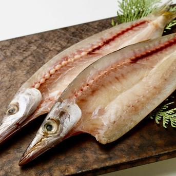 カマス　【２㎏】 ２㎏ 魚介類/その他魚介通販