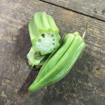 金ちゃん農園”オクラ”（ダビデの星）400g 400g 野菜/オクラ通販
