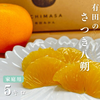 さつき八朔 5キロ（箱込み） 家庭用 はっさく さつき八朔 ｜ 果物