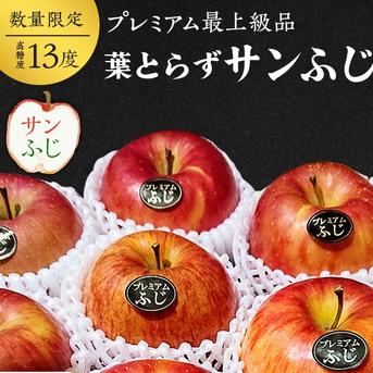 青森県産りんご「大人気」完熟大玉プレミアム葉とらずさんふじ大きめ自然味約３kg糖度13%以上 約３kg 果物/りんご通販