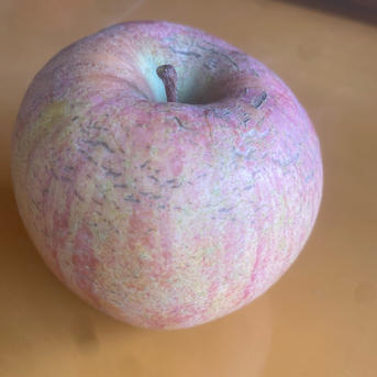 🍎【訳あり】サンふじ：ご家庭用 1箱限定価格 ｜ 果物/りんご 産直
