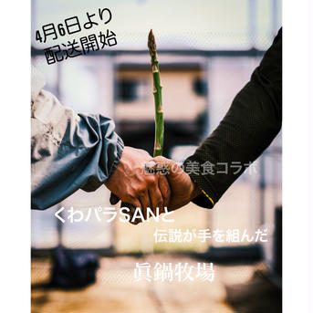 くわパラSAN × 眞鍋牧場 ホワイト！グリーン！アスパラガス1キロ詰め合わせ🔥数量、期間限定🔥 1kg 野菜/アスパラガス通販