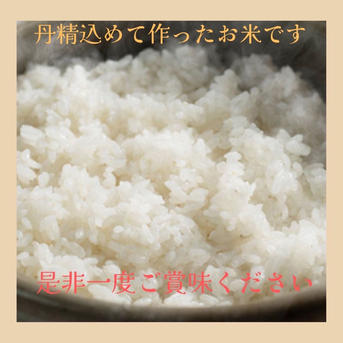令和7年産 みずほの輝き ｜ 米・穀物/米/精米 産直アウル 農家・漁師
