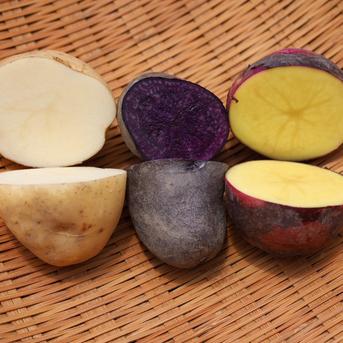 春のじゃが芋3種、食べ比べ ｜ 野菜/じゃがいも 産直アウル 農家・漁師