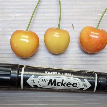 さくらんぼ加工原料700g 佐藤錦の着色不良が700gバラ詰めです。 果物/果物セット・詰め合わせ通販