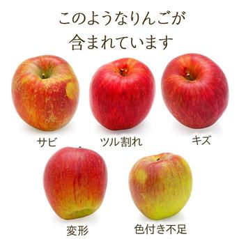 りんご【おぜの紅】訳あり約3kg 2026年度予約受付中 香り豊かな初秋の