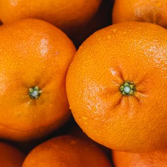ミルク　おまとめ割引　甘平8キロ　せとか8キロ 人気2品種食べ比べ】せとか × 甘平 各2kg 家庭用 ｜ 果物/その他