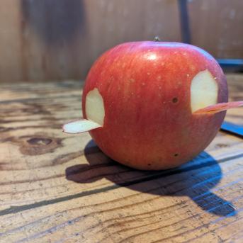 【訳あり】旬のりんご5kg箱 約4.5〜5.5kg（12〜20玉） 果物/りんご通販