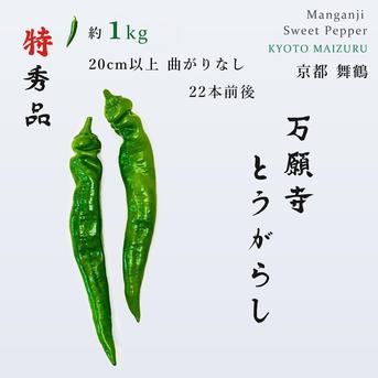 食品 新鮮 採れたて 長唐辛子 産地直送5キロ