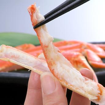 訳活オオズワイ（中小）4ｋｇ詰（約16-30尾）【アウルの日】 4ｋｇ（約16-30尾） 魚介類/カニ通販
