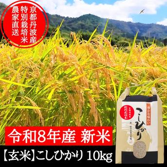 ★新米★[玄米]特別栽培米コシヒカリ１０kg生産農家の直接販売 新米【玄米】特別栽培米こしひかり 10kg 令和8年産 節減対象農薬6割減