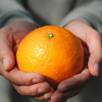 ゼリーのようなプルプル食感】まどんな 3kg×2箱【家庭用】媛果まどんな