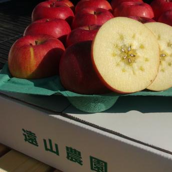 贈答用】サンふじ 約3kg（7～11個）×2箱 【お歳暮】等にどうぞ 