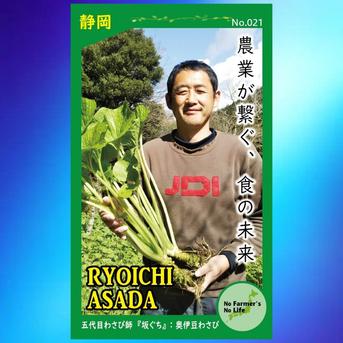 葉ﾜｻﾋﾞ_１kg前後(訳ｱﾘ)お得,お試し,おまかせ 葉ﾜｻﾋﾞ《１kg》前後 野菜/薬味通販