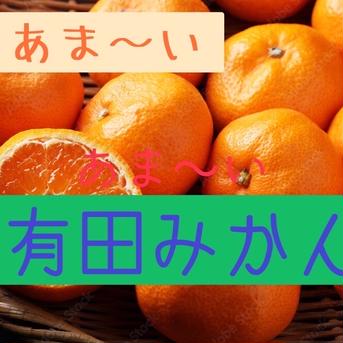 今シーズン最終‼︎ 有田みかん  訳あり 5kg 家庭用 5kg 果物/温州みかん通販
