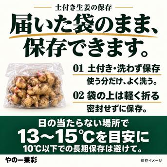 先行予約・11月5日発送開始】高知県産 土付き新生姜 4kg｜やの一果彩