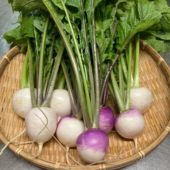 旬の野菜BOX 秋バージョン 6〜9kg 野菜/野菜セット・詰め合わせ通販