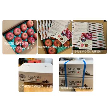 🍎青森りんご🍎～人気ナンバー1家庭用でお買得！『完熟サンふじ』【ご
