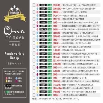【8月下旬予約】TBSラヴィットで話題沸騰☆"祝"産直受注1万件突破！！あしたの内村!!ニノさんTV出演☆レストラン御用達もも1kg【お試し特価キャンペーン】朝採れ桃【旬祭限定】 樹上完熟桃約1kg3～4個 果物/もも通販