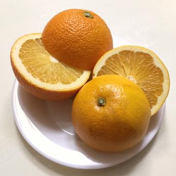 【四国 九州 本州のお客様用】ハッサクはっさくフルーツ果物くだもの果実みかん柑橘《八朔／えひめ産》段ボール含め 5kg 段ボール含め 5kg 果物/オレンジ・その他みかん通販