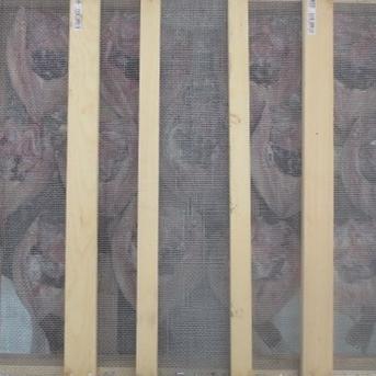 函館産　【天然】柳の舞3枚　真ホッケ３枚　の天日干し 柳の舞3枚　真ホッケ３枚 魚介類/魚介セット・詰め合わせ通販