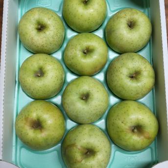 [不使用]りんご　王林　3kg 3kg(9～13個) 果物/りんご通販