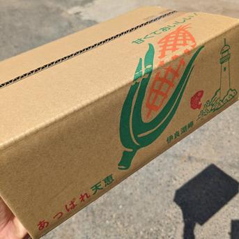 【天ぷらが絶品!!!】あっぱれベビーコーンたち(ヤングコーンも)2kg(20本前後) 2kg(20本前後) 野菜/とうもろこし通販