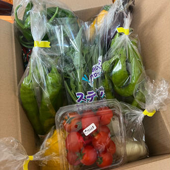 北海道産採れたて旬野菜詰め合わせセット80サイズ箱5〜10品種 入れるものによって変動しますが箱重量込み5キロが最大。 野菜/野菜セット・詰め合わせ通販