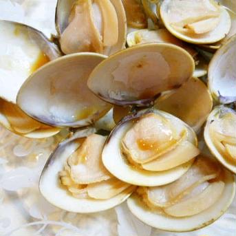 千葉県産　中はまぐり3キロ 中はまぐり3キロ 魚介類/蛤通販
